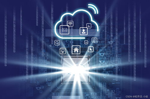 大數(shù)據(jù)時(shí)代的軟件開(kāi)發(fā)實(shí)踐 利用云計(jì)算與AI賦能創(chuàng)新